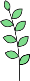 식물 이미지