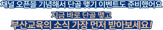 
				채널 오픈을 기념해서 단골 맺기 이벤트도 준비했어요 
				지금 바로 단골 맺고 
				부산교육의 소식 가장 먼저 받아보세요! 
				