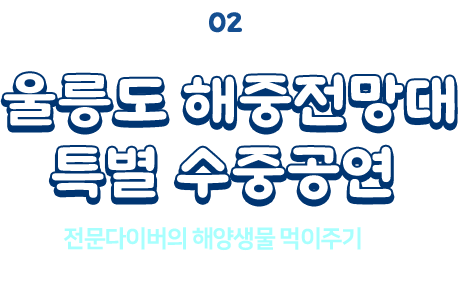 
						02 울릉도 해중전망대 특별 수중공연
						전문다이버의 해양생물 먹이주기 등  다양한 컨텐츠의 수중 공연이 펼쳐집니다!
						